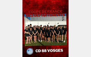 Coupe de France des Départements - Phase qualificative