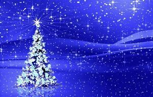 Arbre de Noël - EST Centrale