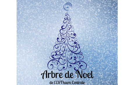 Arbe de Noël de l'E.S. Thaon Centrale